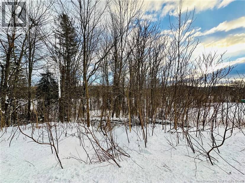 Lot 09-01 Route 105 — photo 26 of 27