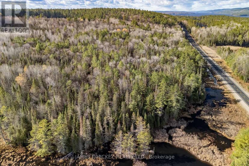 0 Hwy 17 Highway — photo 16 of 22