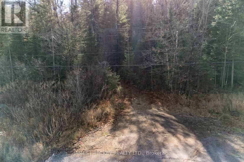 0 Hwy 17 Highway — photo 21 of 22