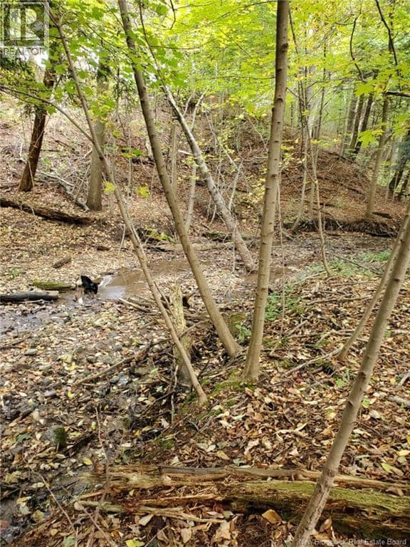 Lot 2 Thompson Road — photo 4 of 7