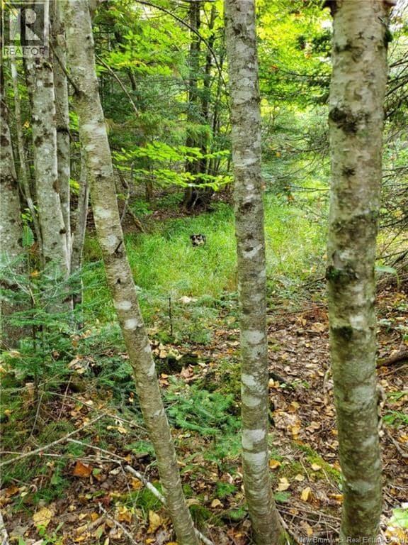 Lot 2 Thompson Road — photo 2 of 7