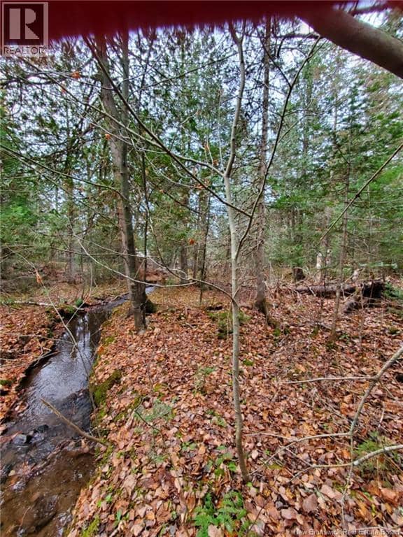 Lot 2 Thompson Road — photo 3 of 7