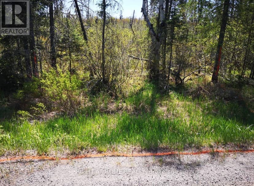 2263 Machar Strong Boundry Road, Strong, photo 6