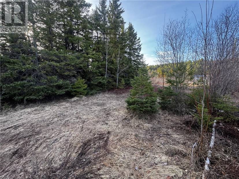 6807 Highway 17 E — photo 9 of 10