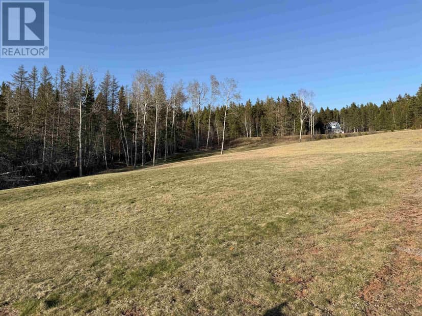 Lot 13 & 14 Trout River Road — photo 10 of 17