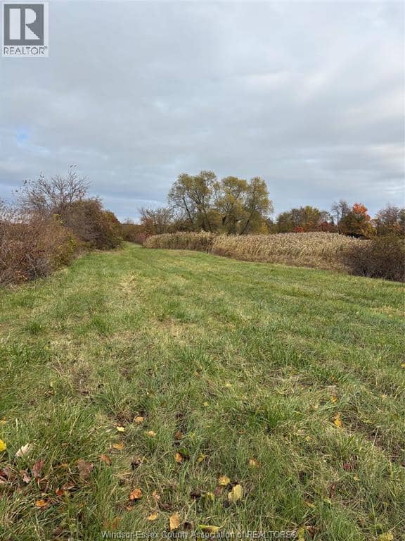 V/L County Rd 20 W — photo 10 of 17