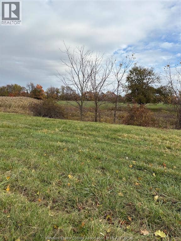 V/L County Rd 20 W — photo 9 of 17