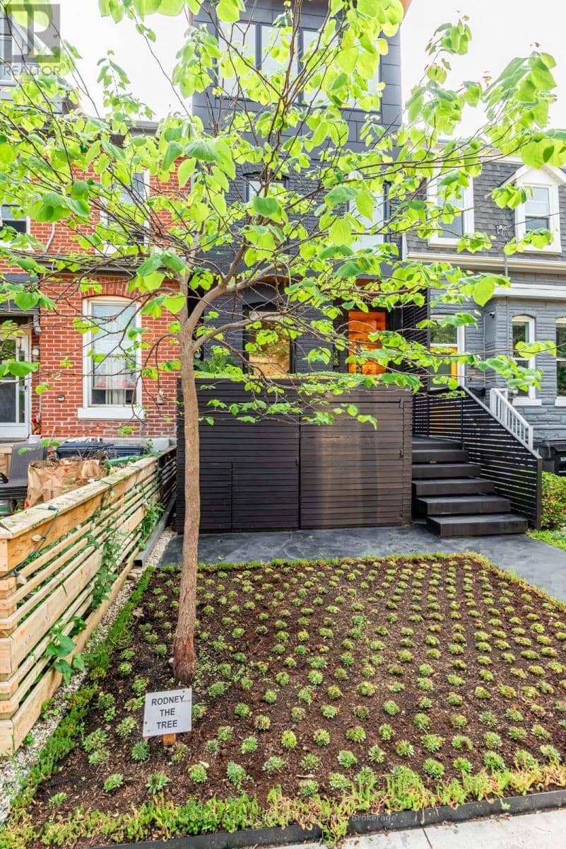 44 Massey Street — photo 4 of 39