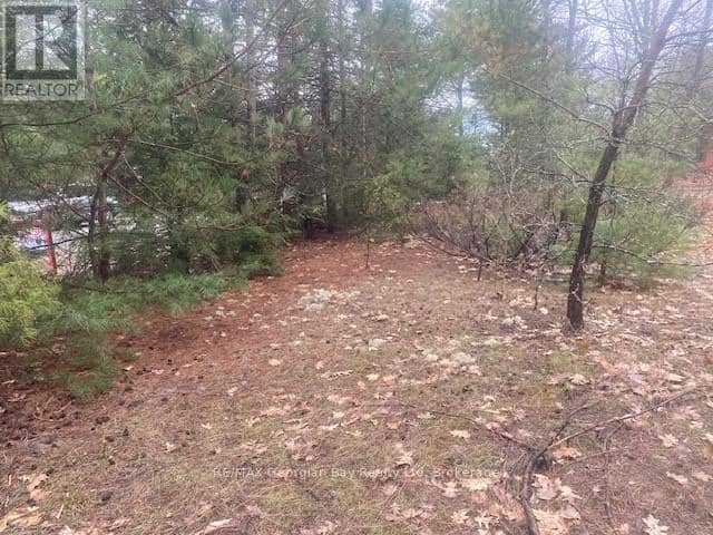 Lot 514 Tall Pines Drive — photo 2 of 9