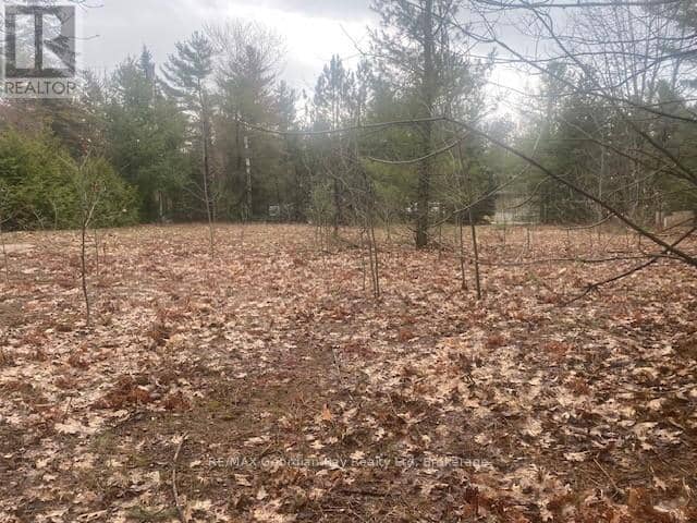 Lot 514 Tall Pines Drive — photo 3 of 9
