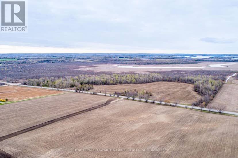 890 Ramsey Road — photo 5 of 18