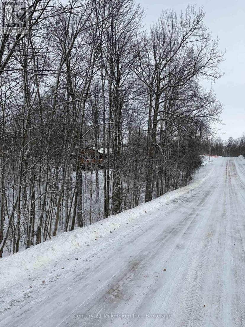 444613 Concession 8, West Grey, photo 3