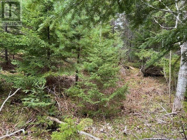 Cabot Trail — photo 15 of 19