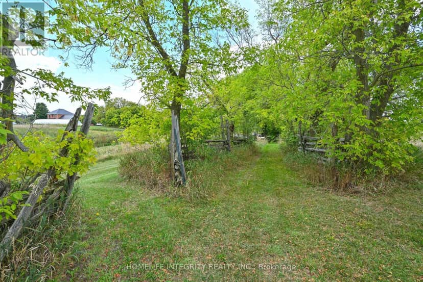995305 Mono Adjala Townline — photo 37 of 40