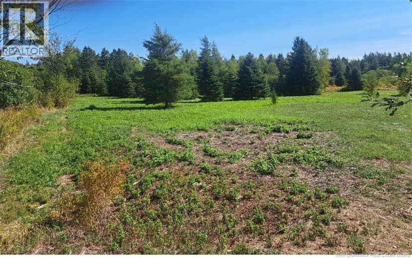 0 Homestead Road — photo 3 of 6