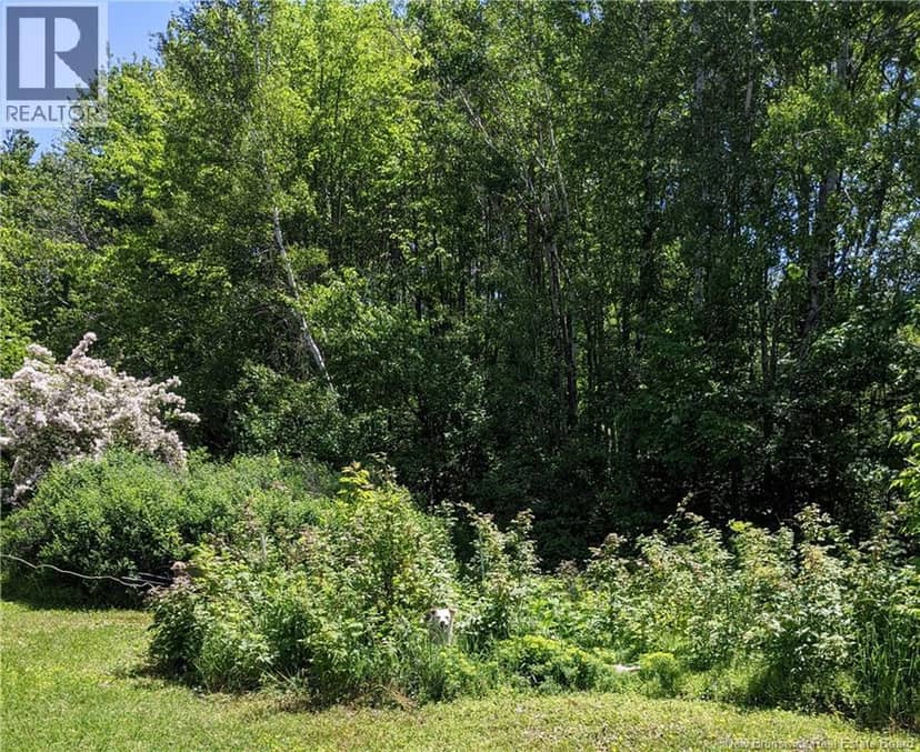 289 Cedar Street — photo 3 of 5