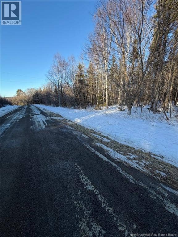 00-2 Reardon Road — photo 12 of 15