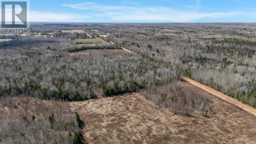 Acreage Sorrie Road — photo 13 of 14