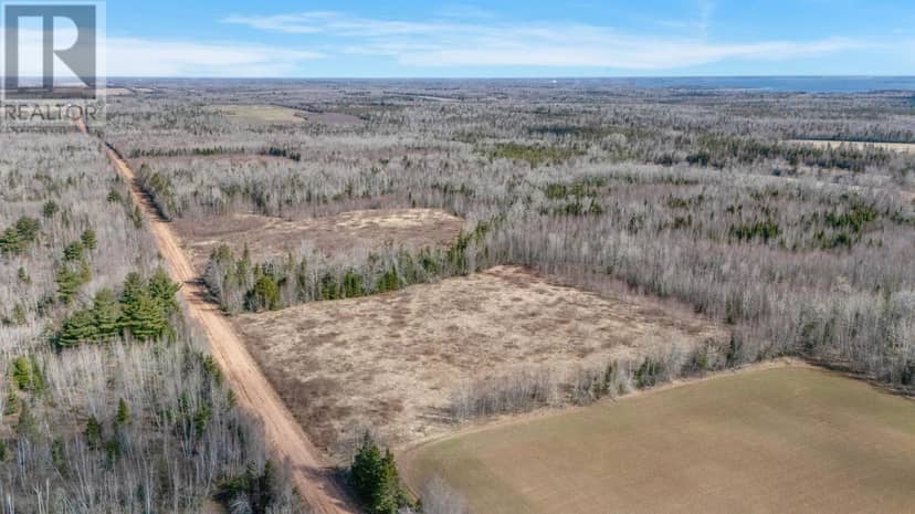 Acreage Sorrie Road — photo 3 of 14