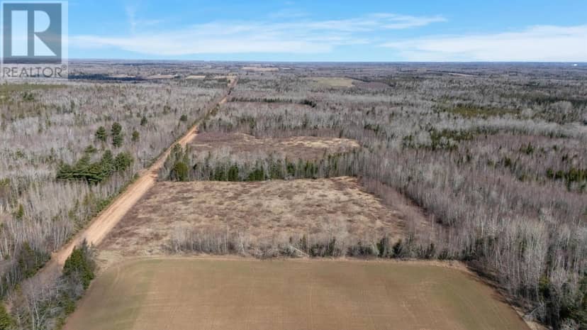 Acreage Sorrie Road — photo 4 of 14