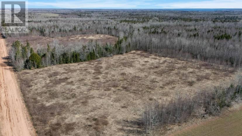 Acreage Sorrie Road — photo 5 of 14