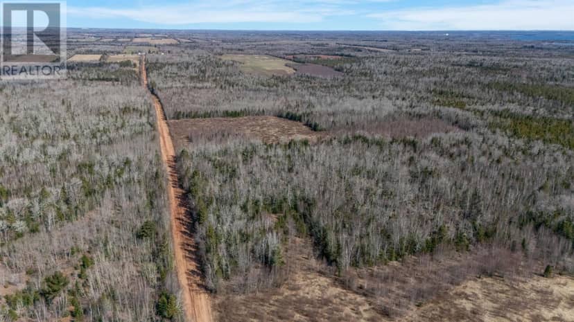 Acreage Sorrie Road — photo 7 of 14