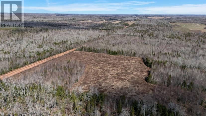 Acreage Sorrie Road — photo 9 of 14