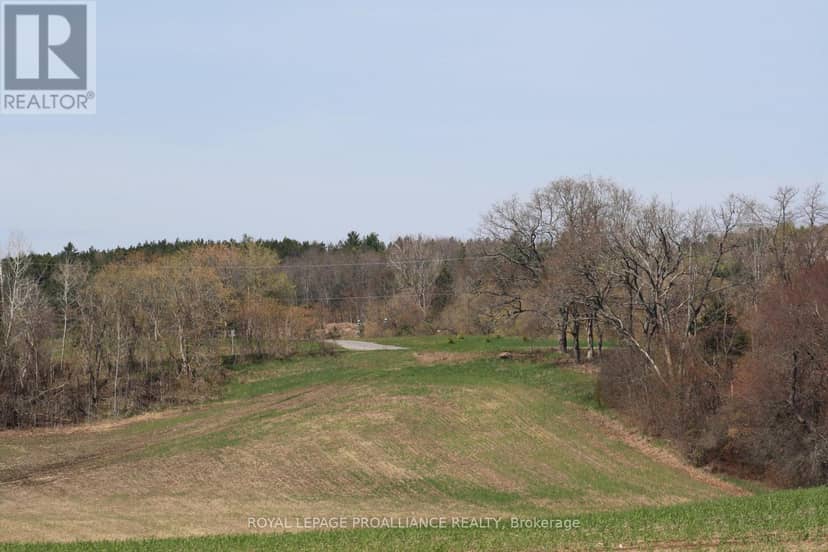 00 Riley Road — photo 11 of 20