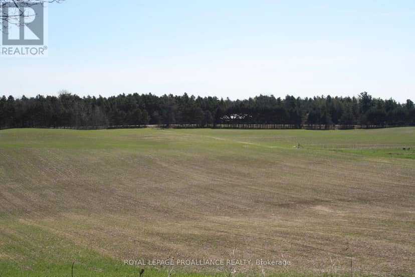 00 Riley Road — photo 17 of 20