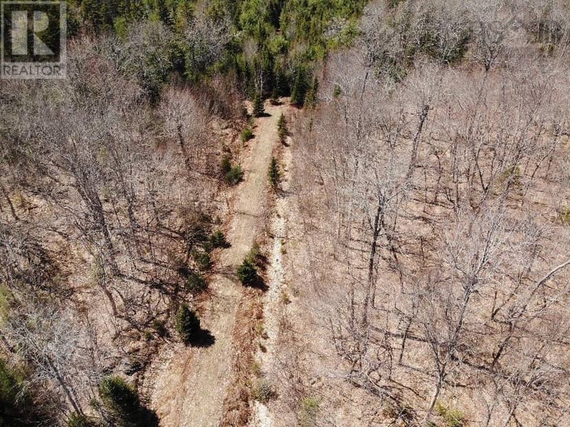 Lot R-10 Kill Dog Cove Road, Parkdale, photo 2