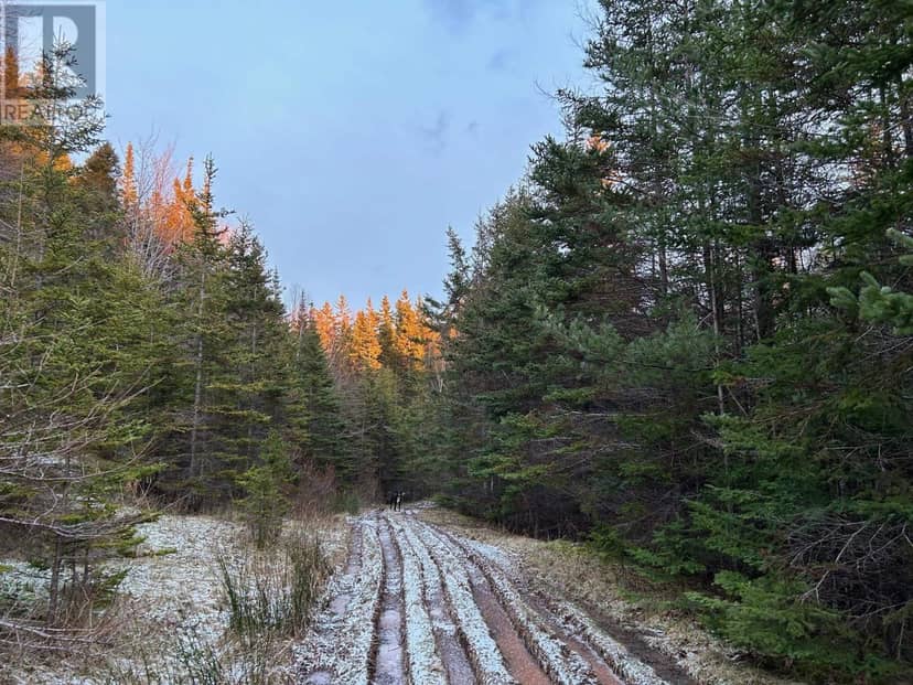 Red Point Road — photo 17 of 29