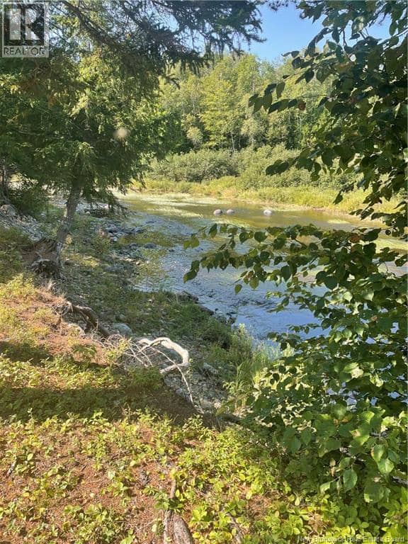 80 Whittier Road, Rollingdam, photo 2