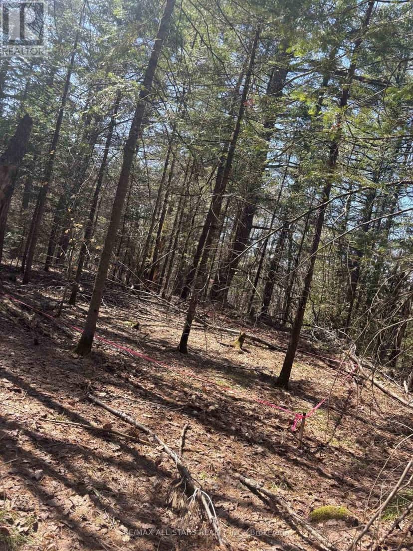 0 Kirkpatrick Lane, Bracebridge