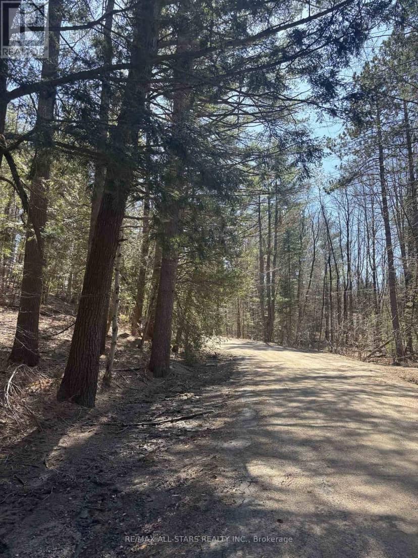 0 Kirkpatrick Lane — photo 12 of 17