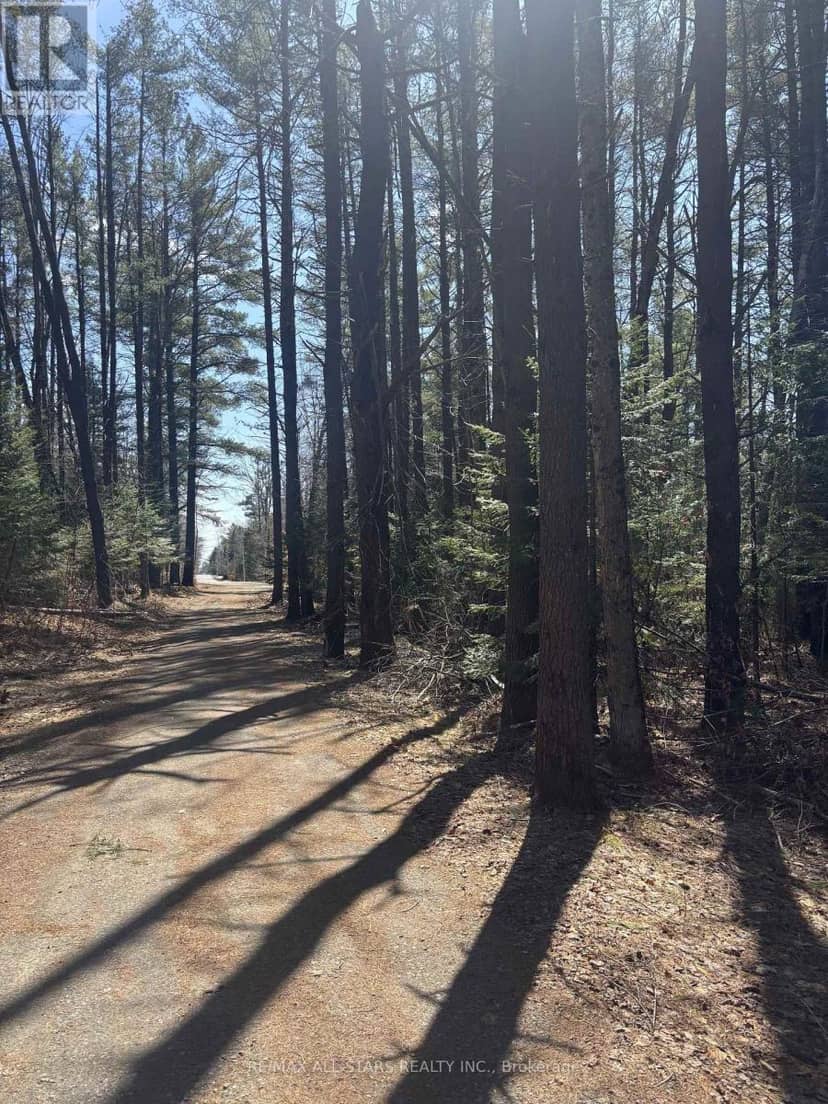 0 Kirkpatrick Lane, Bracebridge, photo 8
