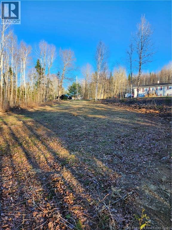 Lot 88-72 Willow Street, Beardsley, photo 2
