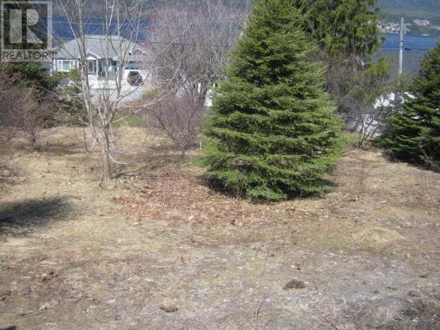 5 Princess Avenue — photo 2 of 6
