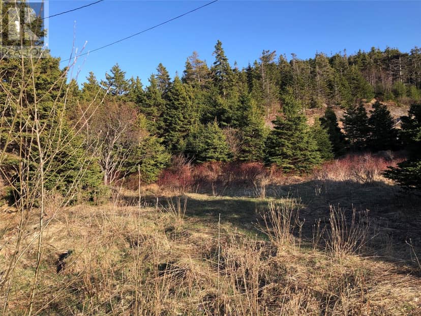 102 Harbour Road — photo 3 of 3