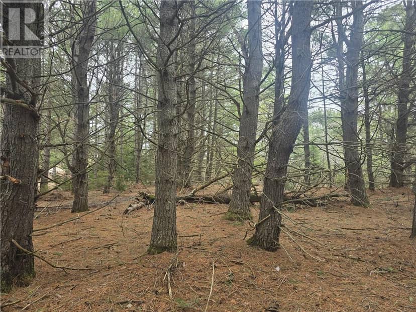 Lot 7 Laurin Road — photo 6 of 12