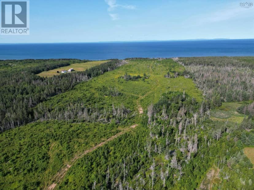 Walkers Cove Road — photo 14 of 17