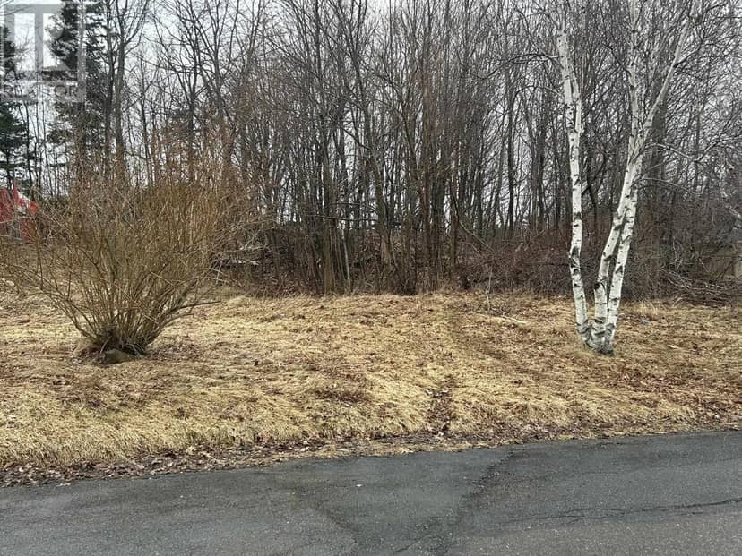 Lot 1 511 BIRCH Street, New Glasgow, photo 2