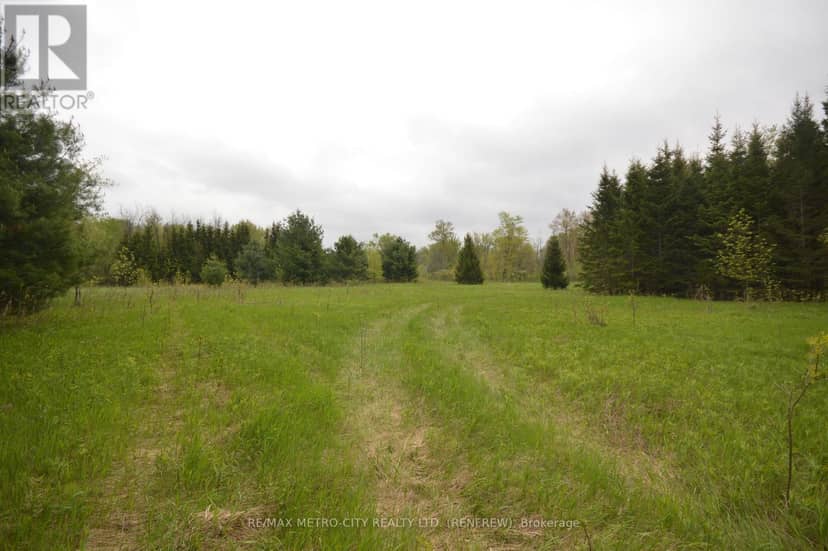 00 River Road — photo 9 of 11