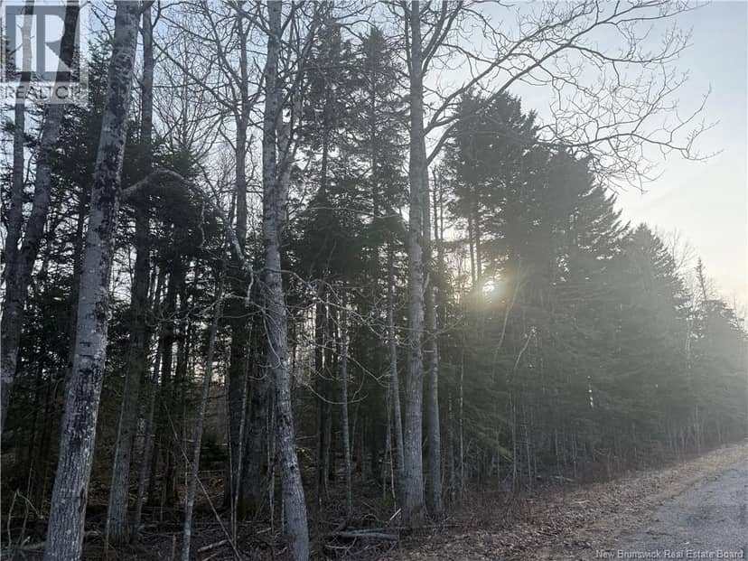 McKay Loop Road — photo 10 of 10