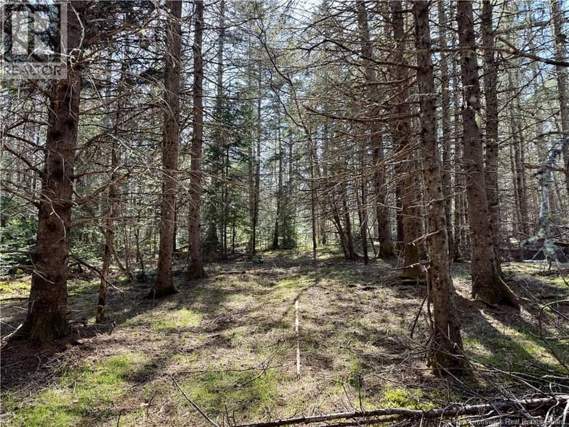 Lot Route 935 — photo 10 of 11