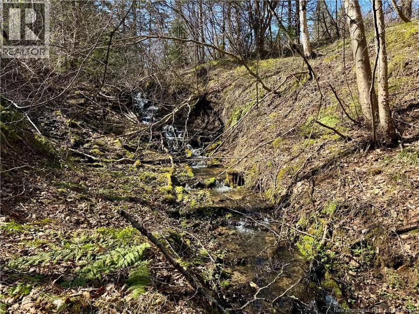 Lot Route 935 — photo 11 of 11