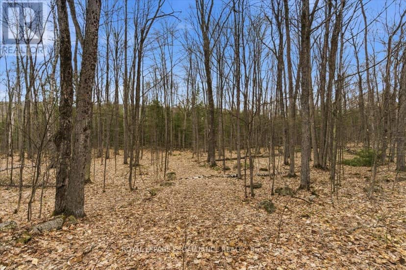 0 Rekrview Lane, North Frontenac, photo 5