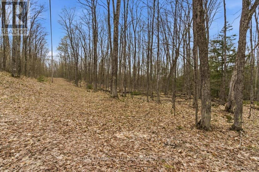 0 Rekrview Lane, North Frontenac, photo 7