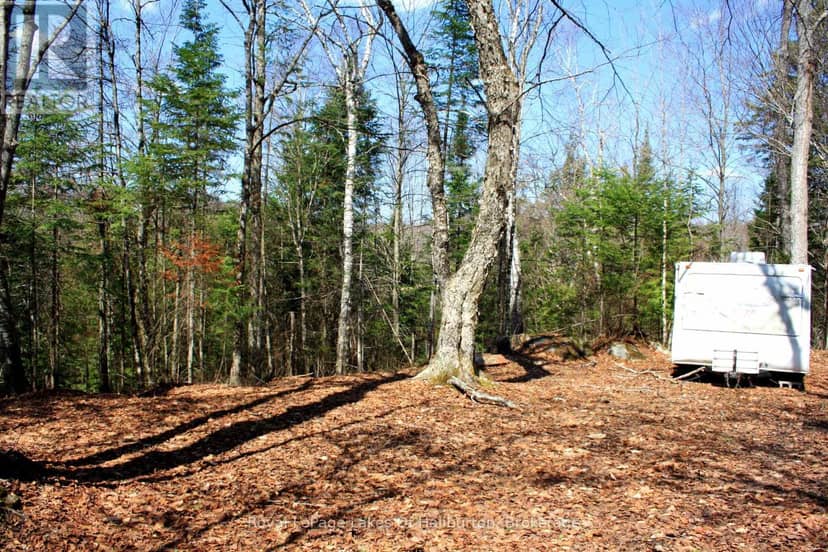 1143 Esson Creek Lane — photo 10 of 13