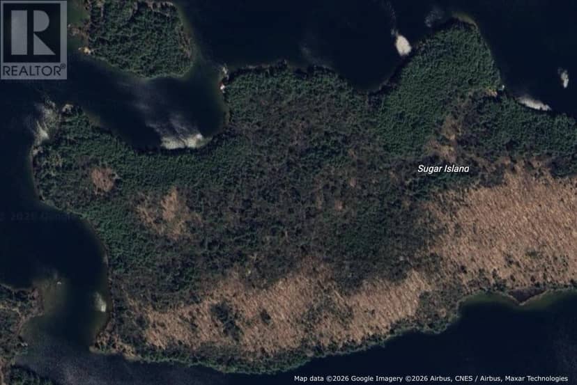 West Portion of Sugar Island, North Shore, photo 3