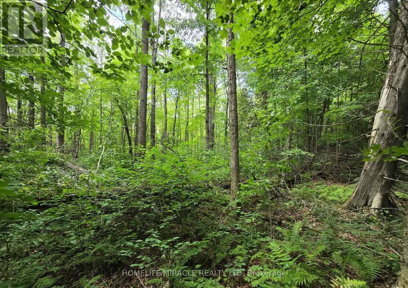 000 Cedar Sands Road, Rideau Lakes